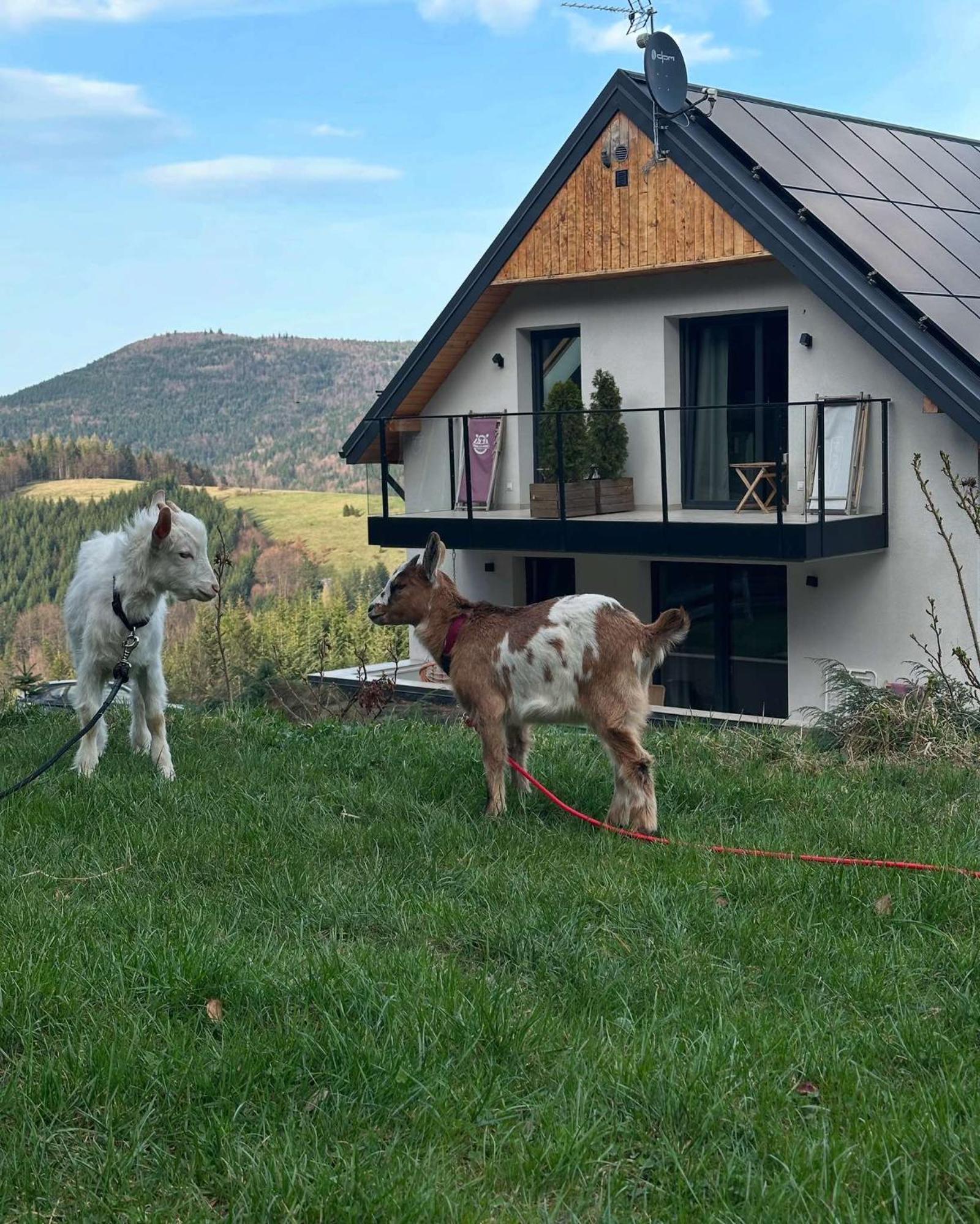 Gorczanskie Zacisze Lubomierz  Exterior photo